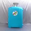 Samsonite,  , d18.021.071